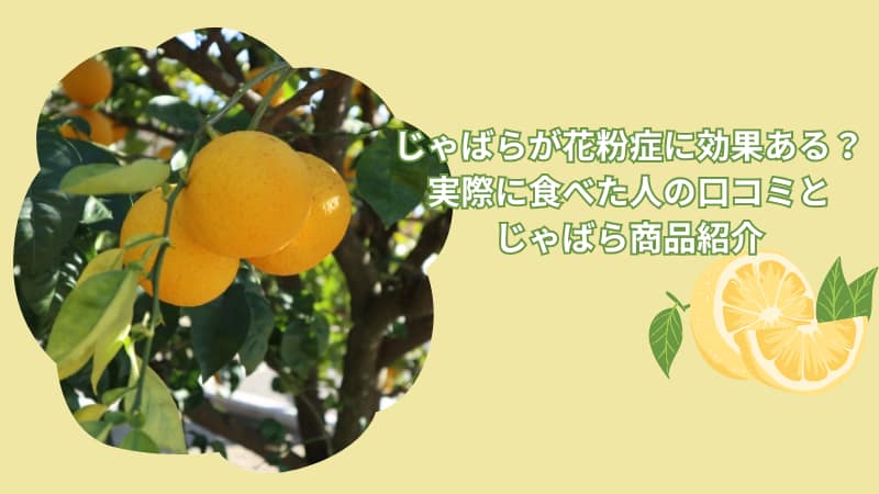 じゃばらが花粉症に効果あるのは嘘？実際に食べた人の口コミとじゃばら商品紹介