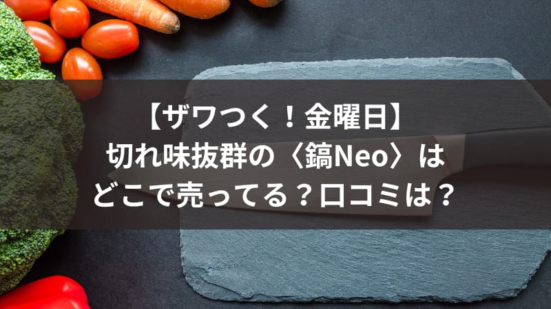 【ザワつく！金曜日】切れ味抜群の〈鎬Neo〉はどこで売ってる？口コミは？