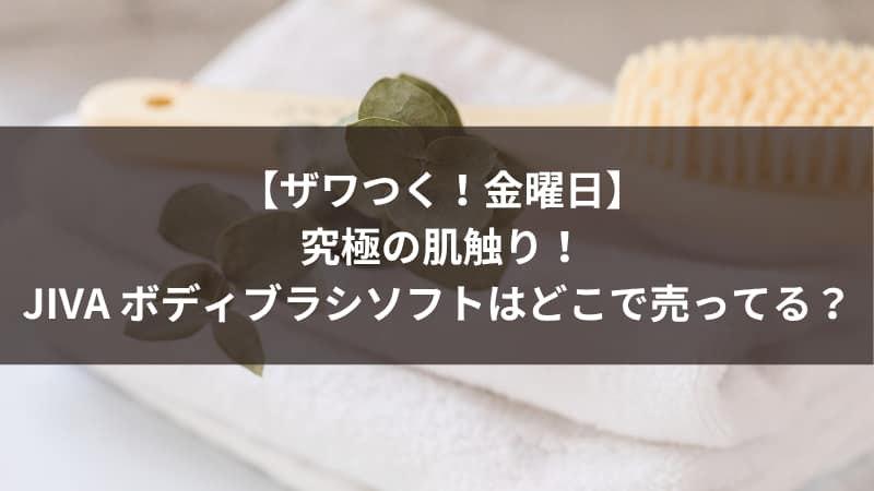 【ザワつく！金曜日】究極の肌触り！JIVA ボディブラシソフトはどこで売ってる？